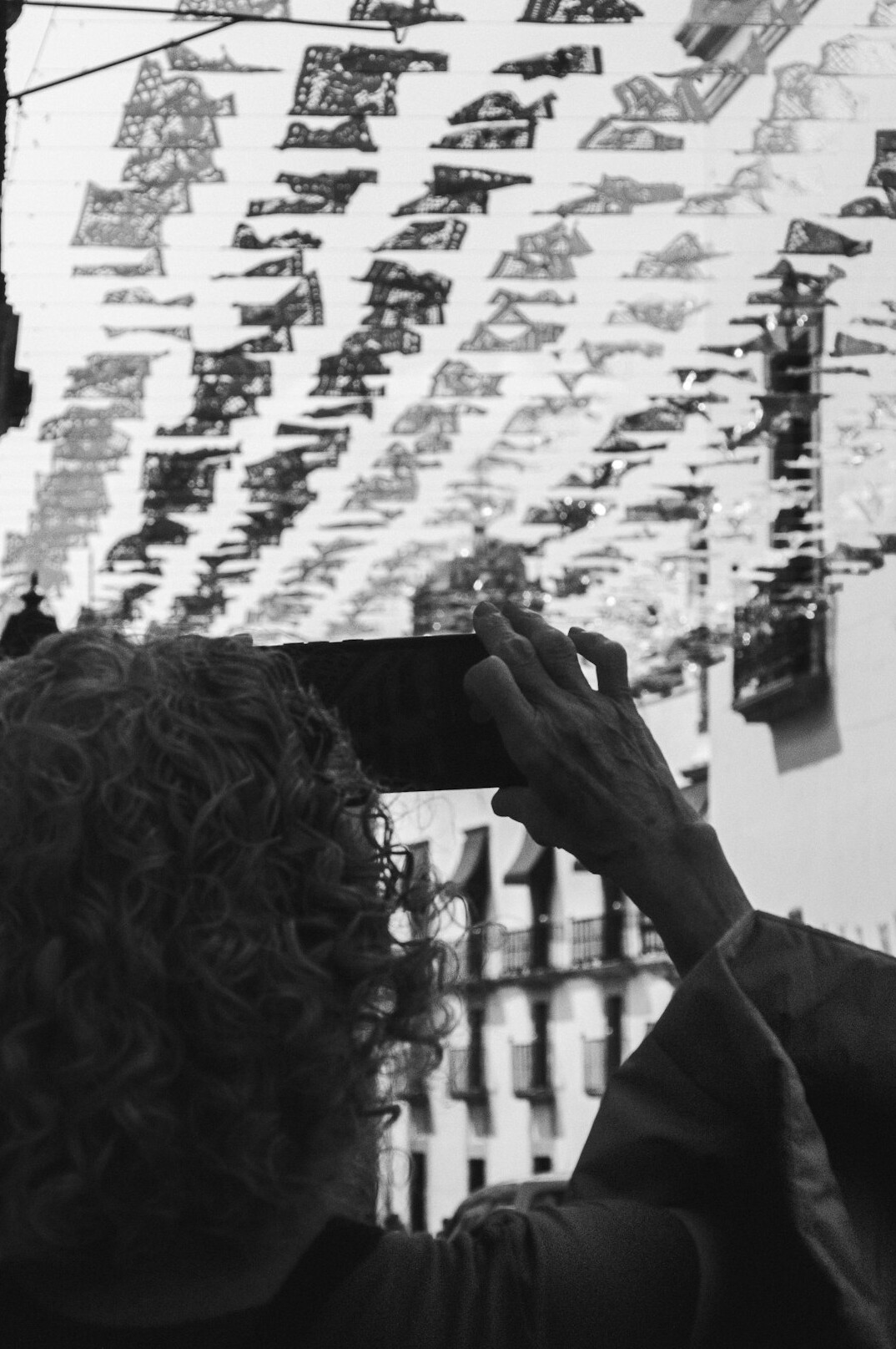 Photographer examining a contact sheet of negatives